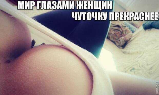 Смешные картинки с надписями прикол, юмор
