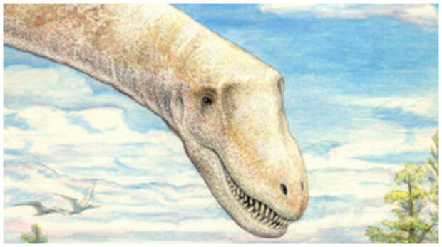 Sarmientosaurus musacchioi, новый вид титанозавра. биология, живая природа, мутант, наука, неопознанное существо