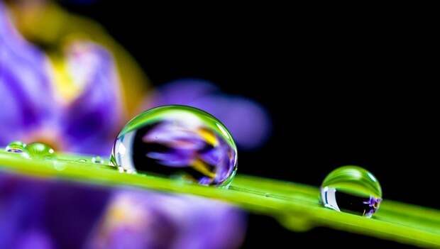 Природа. Фото: pixabay.com