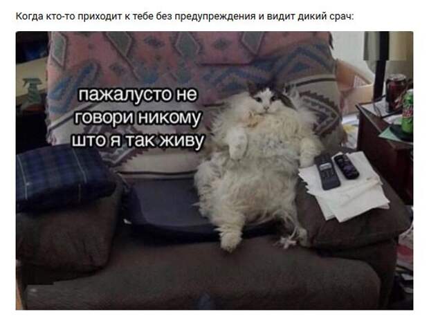 Нестандартный юмор :)