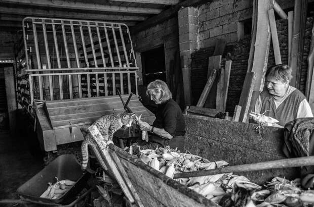 Внучка отсняла один день из жизни бабушки и поразилась ее энергии бабушка, деревня, ферма