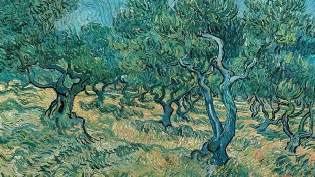 Винсент Ван Гог, «Оливковые деревья», 1889 г.