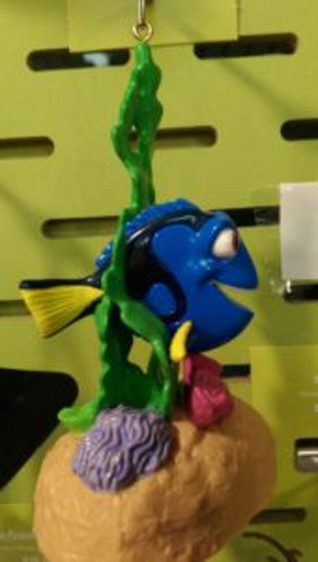 dory