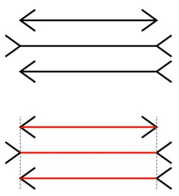 От прямых линий, которые кажутся наклонными до неоднозначных изображений. Известные оптические иллюзии, которые сбивают с толку даже ученых