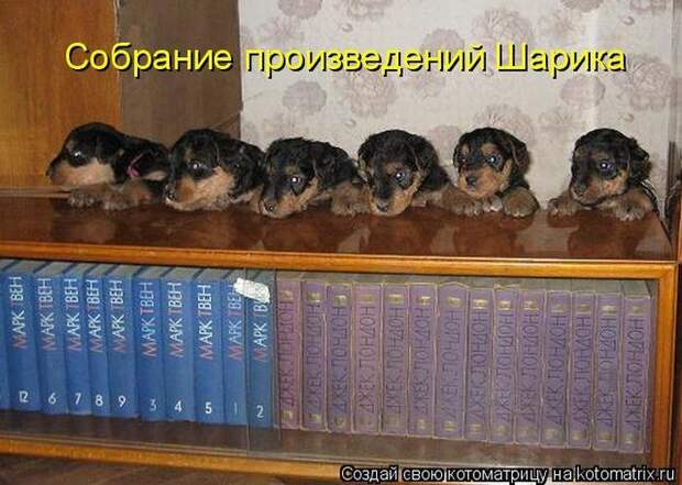 Мысли вслух :)