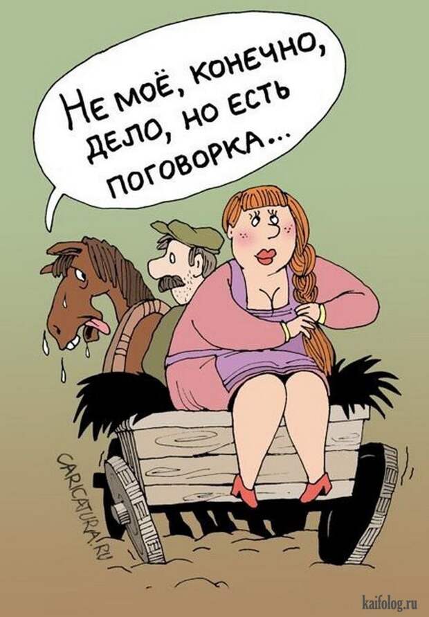 Веселые картинки (60 картинок) Веселые картинки (60 картинок)