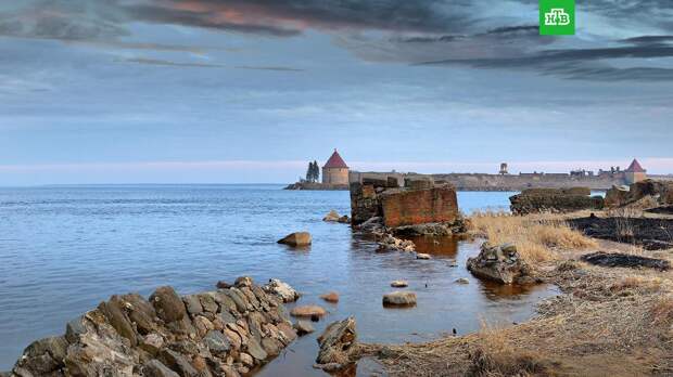 Туристы проедут маршрутом Петра I