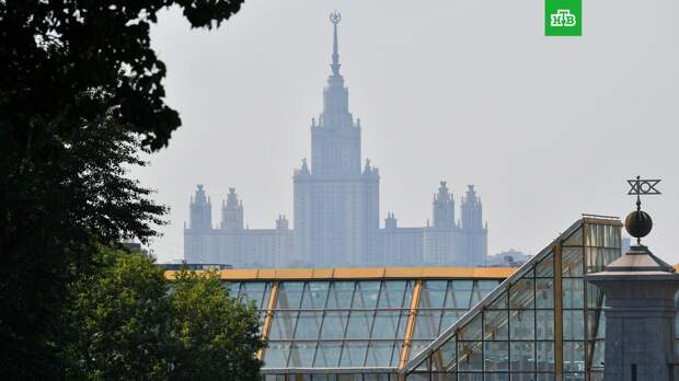 Пик концентрации запаха гари в Москве придется на ночь 23 августа