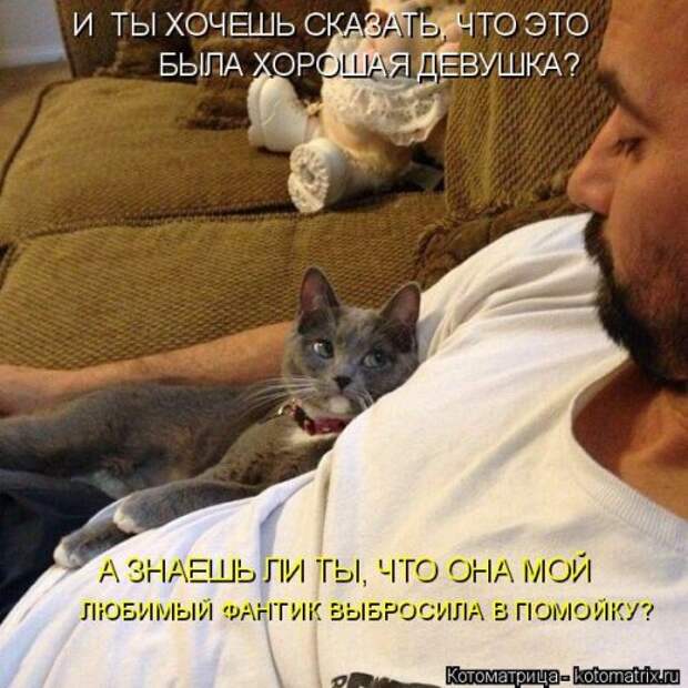 Новая котоматрица (44 шт)