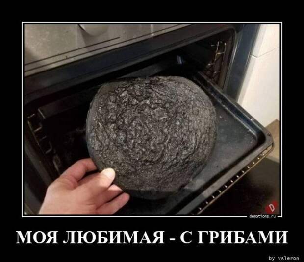 1599721027_demy-4.jpg