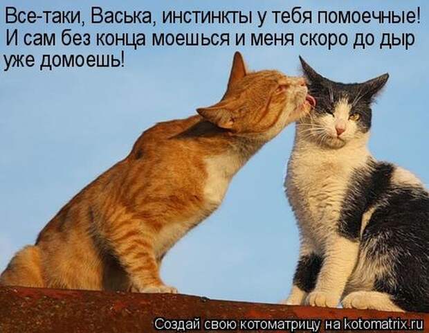 Мысли вслух :)