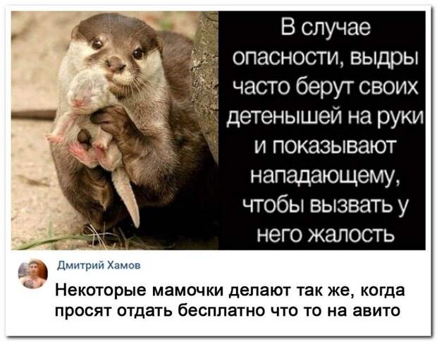 setey-socialnyh-kommentarii-citaty-vkontakte-vkontakte-smeshnye-statusy