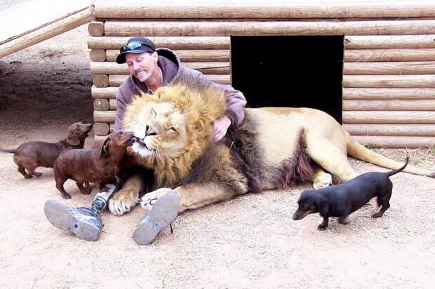 Фотоподборка