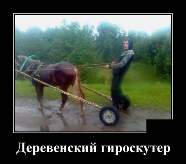Демотиваторы (20 фото)