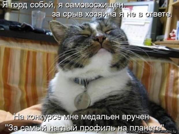 Лучшие котоматрицы недели Лучшие котоматрицы недели