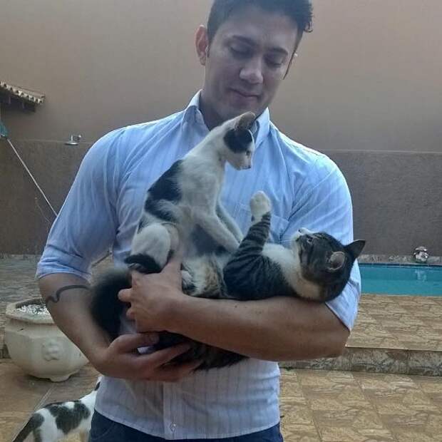 Без кота и жизнь не та
