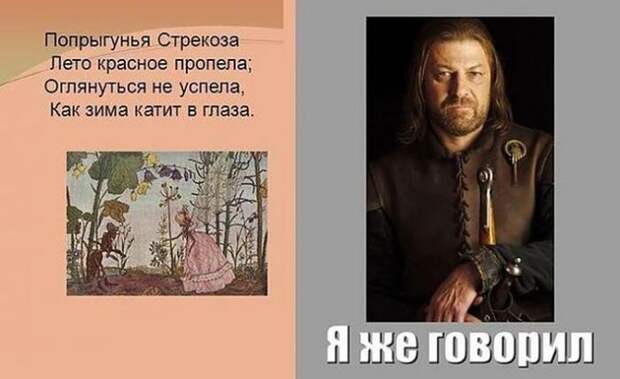Приколы из мира кино (41 фото)