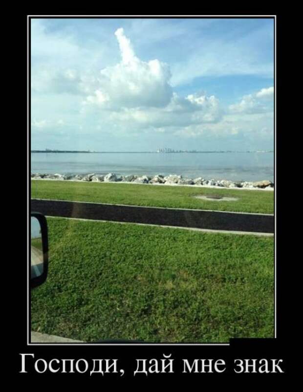 Демотиваторы