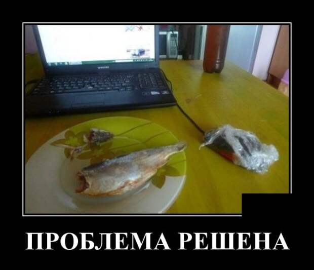 Демотиваторы (30 фото)