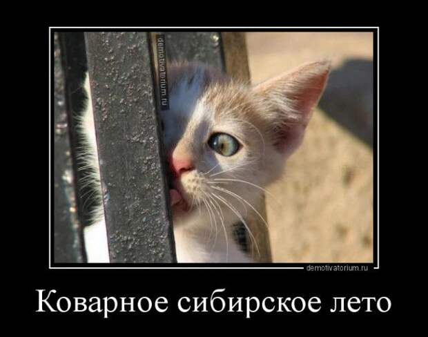 1599633767_demy-1.jpg