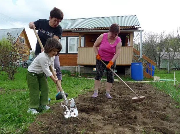 Вильфанд рассказал, когда россиянам можно сажать картошку