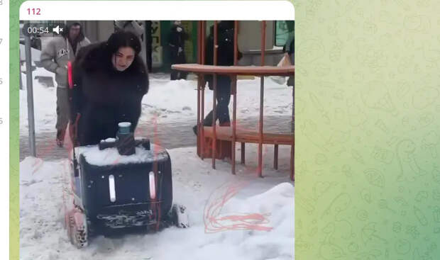 Кожаные не бросают: москвичи спасли робота-курьера из сугроба и попали на видео