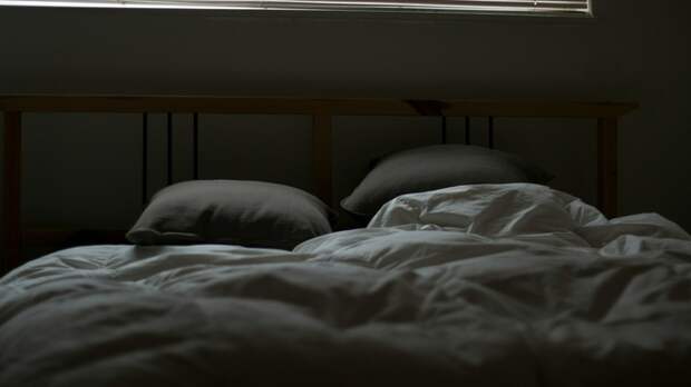 Фото: Quin Stevenson / unsplash.com