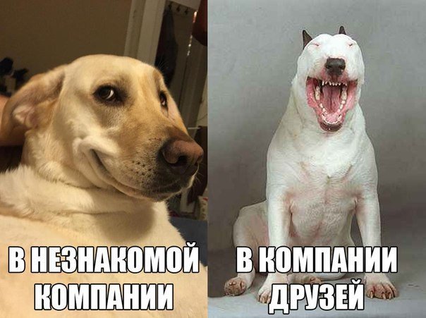 1452505366_fotomemy-21