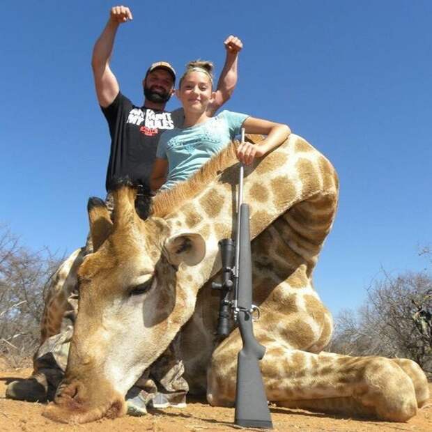 Гордый отец позирует с дочерью и мертвым жирафом.    дети, животные, охота