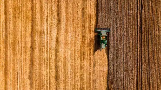 В Тамбовской области рассказали о планах по развитию сельских территорий