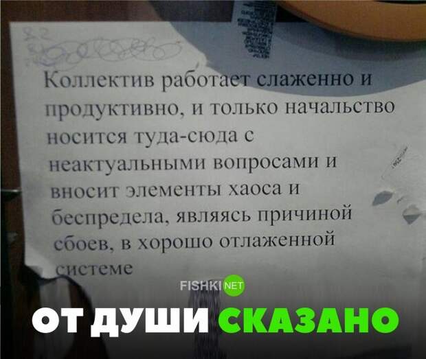 35 позитивных картинок, которые скрасят ваш рабочий день картинки, прикол, юмор