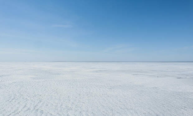 Источник фото: Unsplash