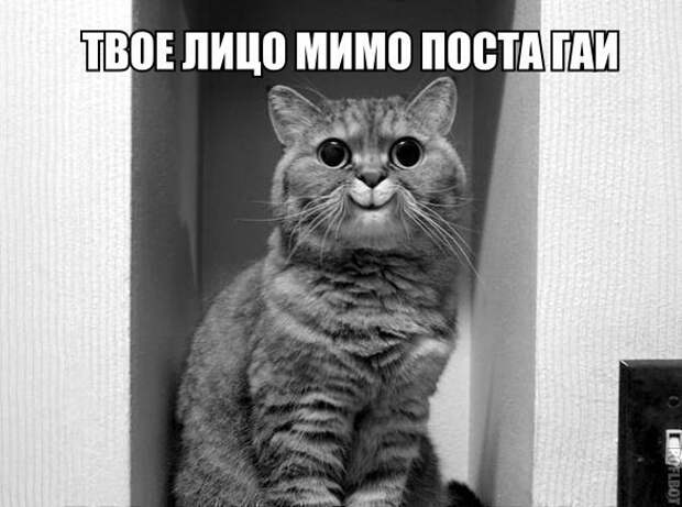 Немного автокартинок Немного автокартинок авто, автоприколы, прикол, юмор