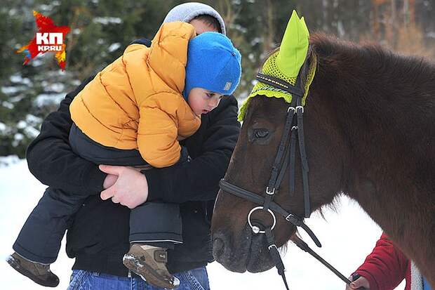 Лечение лошадками официально называется иппотерапией. Фото: Евгения ГУСЕВА