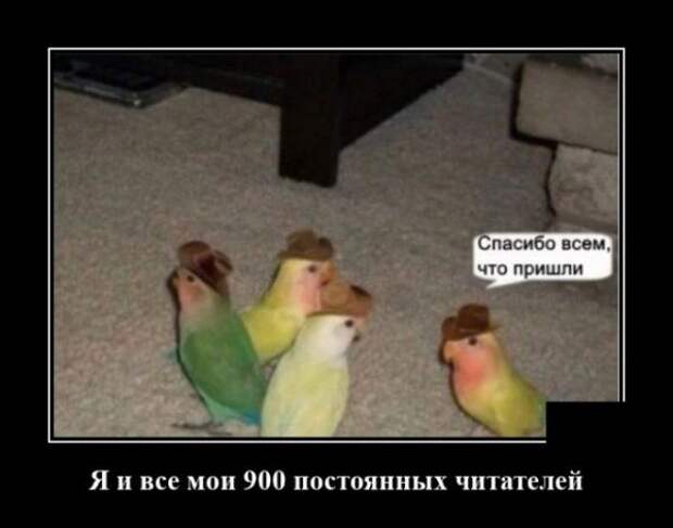 demotivatory-demotivator-smeshnye-demotivatory-demotivator-so-smyslom