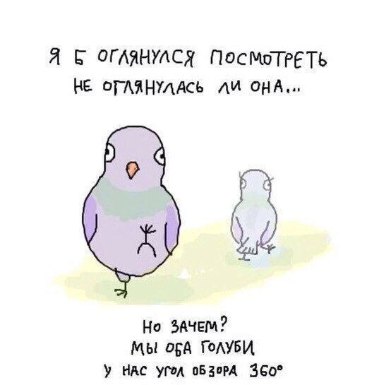 sIgcA7_X_iU