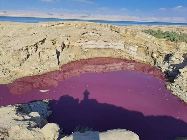 вода мертвого моря становится красной, вода мертвого моря становится красной иордания, вода мертвого моря становится красной на фотографиях, вода мертвого моря становится красной видео, вода мертвого моря становится красной сентябрь 2021 г.