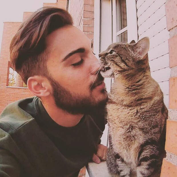 Надо попробовать на вкус. Instagram hotdudeswithkittens.