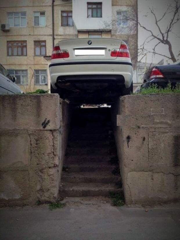 Свежие фото-приколы для всех (49 шт)