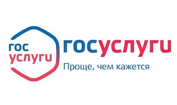 «Госуслуги» помогут отправить россиян в космос