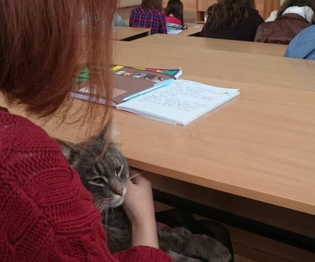 Прикольные картинки абавсём:D (30.09.16) Прикольные картинки абавсём:D (30.09.16)