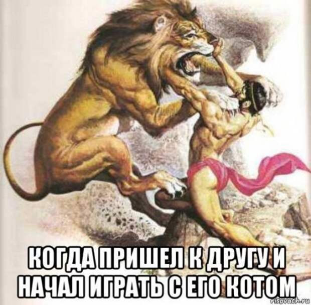 Новые фотомемы (22 шт)