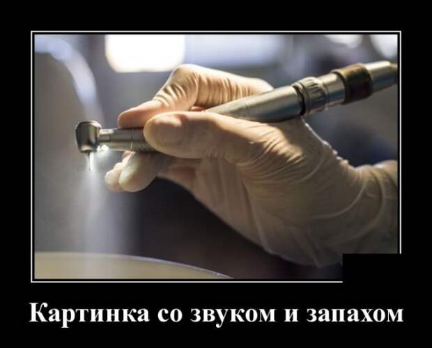 Демотиваторы (20 фото)