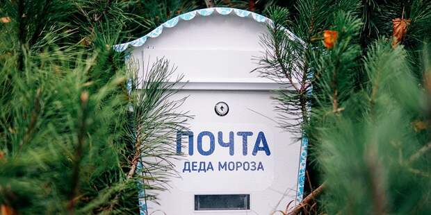 Новогодняя почта для Деда Мороза, Царицыно, Новый год