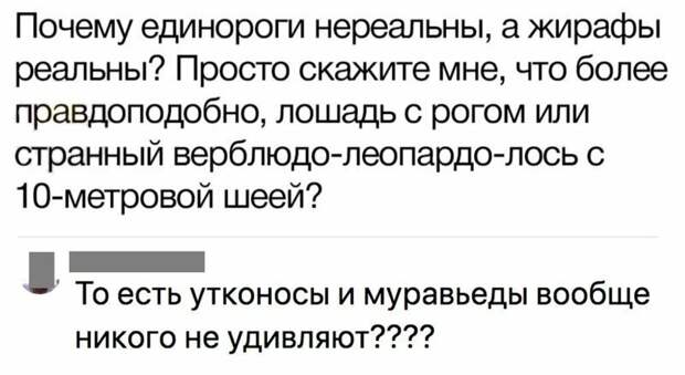 Высказывания и наблюдения для вашего настроения Высказывания и наблюдения для вашего настроения