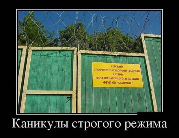 Демотиваторы (30 фото)