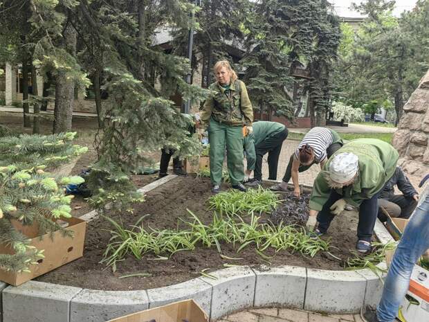 Наш спецкор Юлия Андриенко спустя год вернулась в родной Донецк и широкими мазками описала жизнь несгибаемого прифронтового города  Я не была в Донецке почти год. Жила в Москве.-2