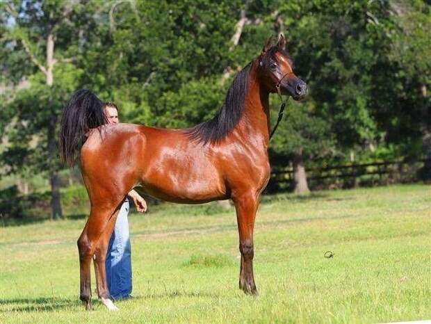 Прикольные картинки абавсём:D (12.08.16)