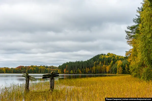 Красоты России. Осень на озерах Лекшмозерья.