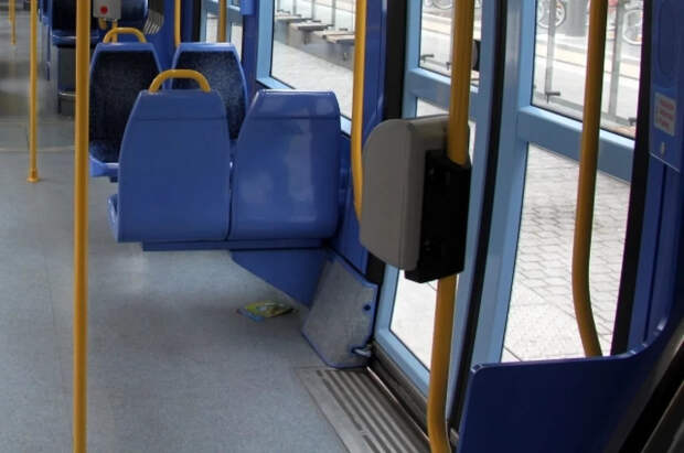 Актриса Писарро умерла при загадочных обстоятельствах, ехав на автобусе